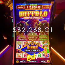 gd7: A Experiência de Casino com Jogos de Mesa ao Vivo